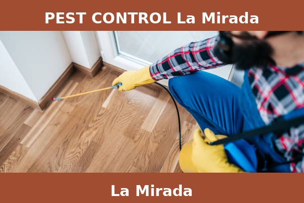 PEST CONTROL La Mirada